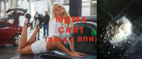 хмурый Аркадак