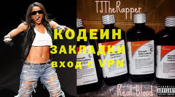 хмурый Аркадак