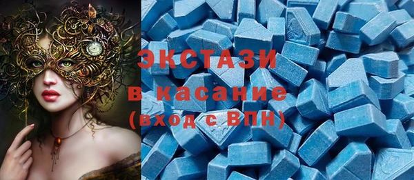 хмурый Аркадак