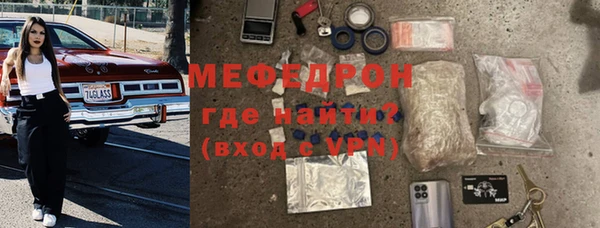 хмурый Аркадак