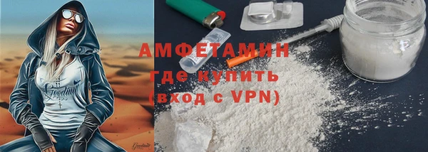 хмурый Аркадак