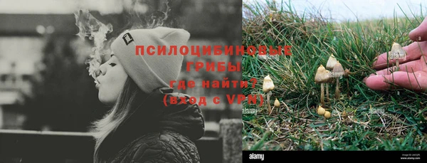 эйфоретик Туринск