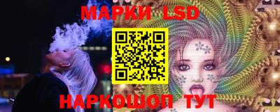 крисы Кулебаки