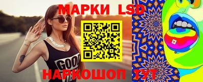 крисы Кулебаки
