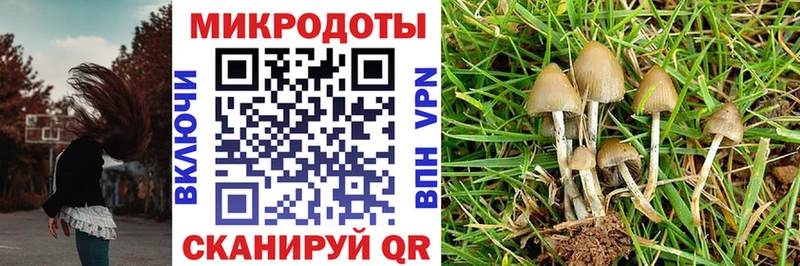 darknet формула  Петропавловск-Камчатский  Галлюциногенные грибы прущие грибы 