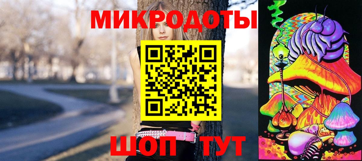 Псилоцибиновые грибы Psilocybe  Вход с VPN  Петропавловск-Камчатский 