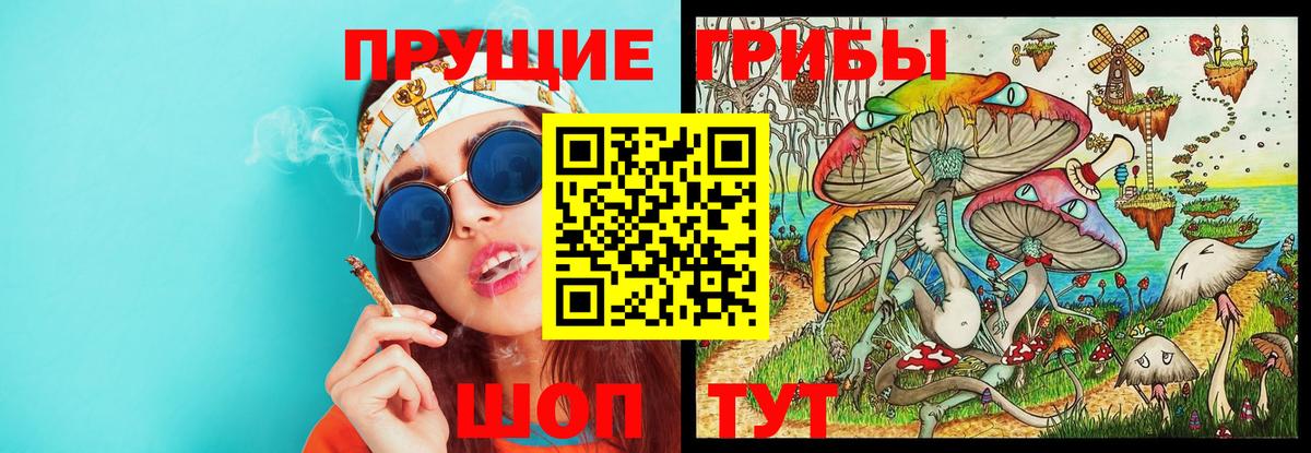 Галлюциногенные грибы мицелий Петропавловск-Камчатский