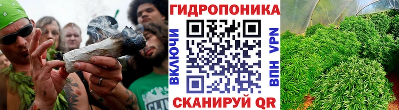 Конопля OG Kush  Петропавловск-Камчатский 