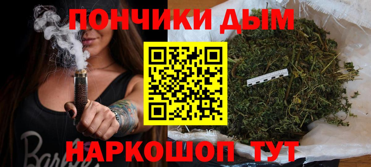 Бошки марихуана сатива Петропавловск-Камчатский